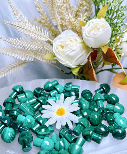 Malachite Small Mushrooms /Crystal Mushrooms /Crystals for Wrapping Jewelry/Stones for Protection/Stones for Growth Money Wealth