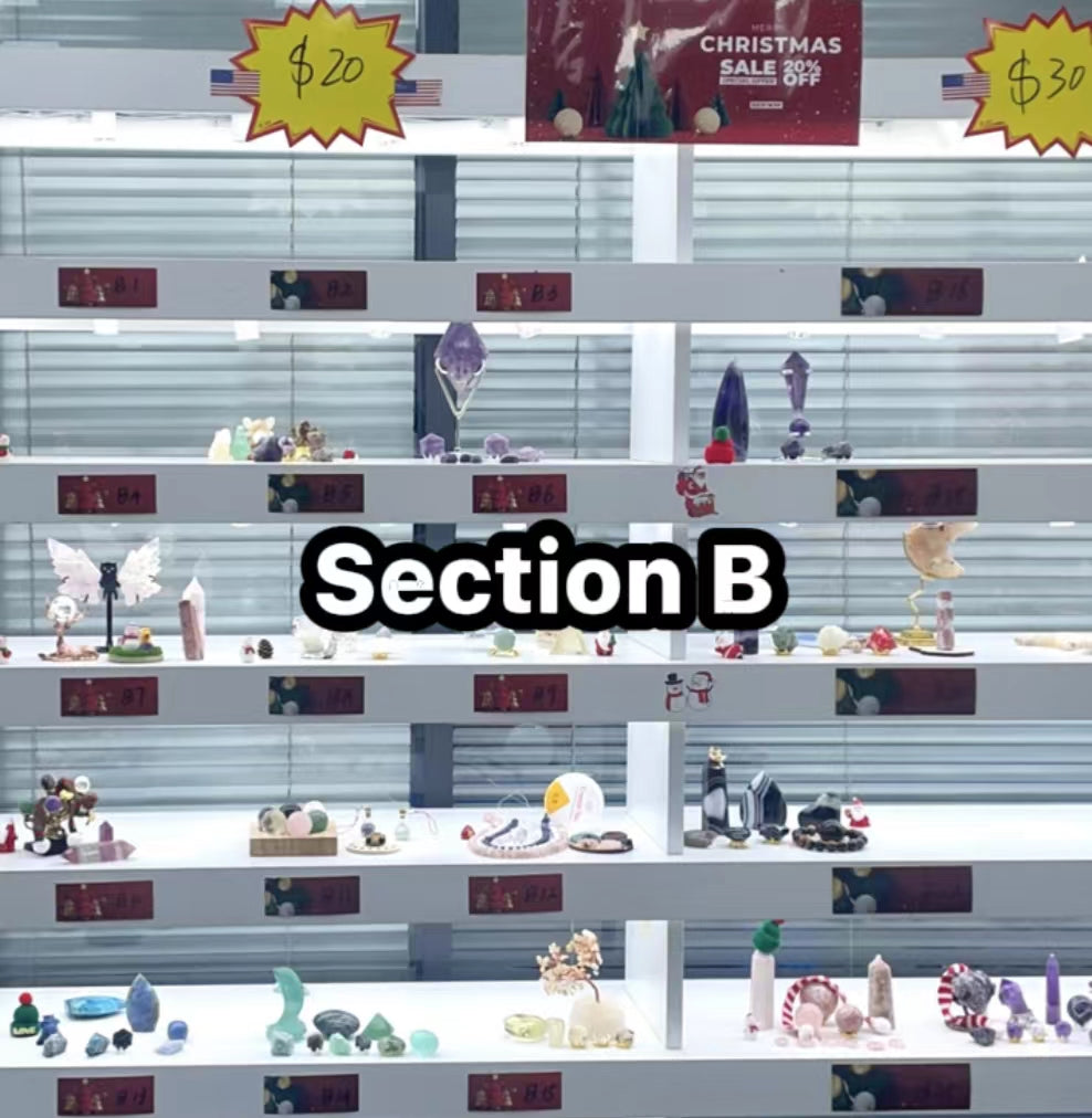 SECTION B PLUS BOX B