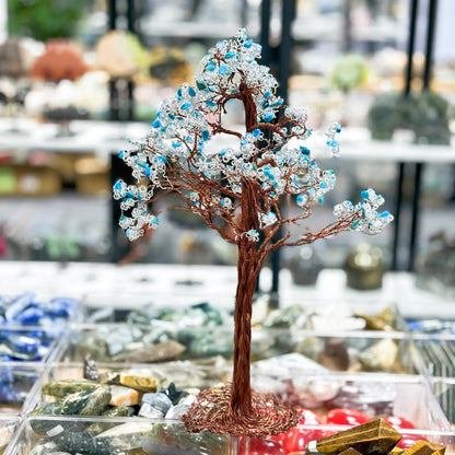 Árbol de la riqueza de cristal, árbol del dinero, pachira macrocarpa,