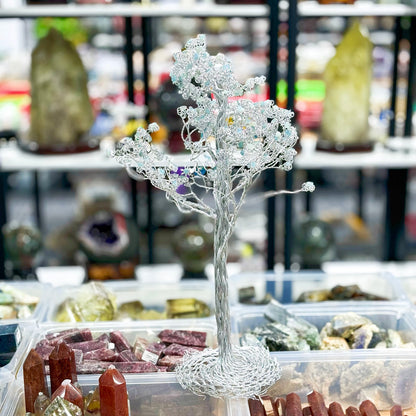 Árbol de la riqueza de cristal, árbol del dinero, pachira macrocarpa,